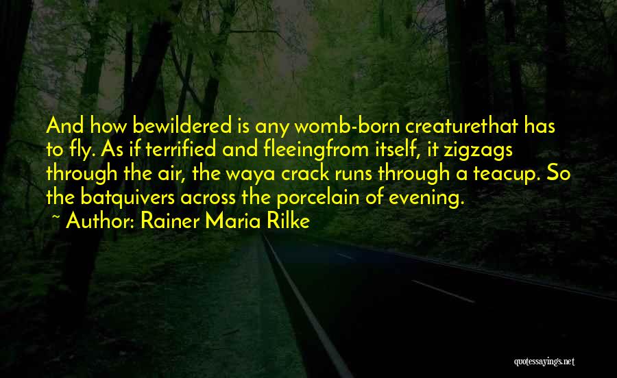 Rainer Maria Rilke Quotes: And How Bewildered Is Any Womb-born Creaturethat Has To Fly. As If Terrified And Fleeingfrom Itself, It Zigzags Through The
