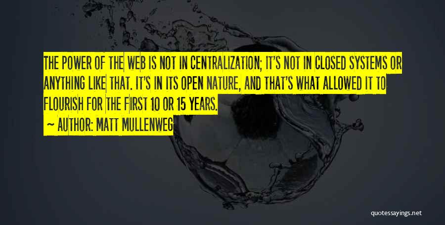 Matt Mullenweg Quotes: The Power Of The Web Is Not In Centralization; It's Not In Closed Systems Or Anything Like That. It's In