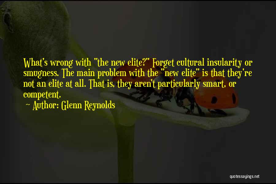 Glenn Reynolds Quotes: What's Wrong With The New Elite? Forget Cultural Insularity Or Smugness. The Main Problem With The New Elite Is That