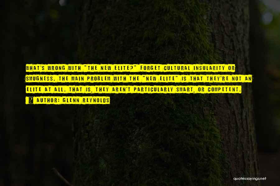 Glenn Reynolds Quotes: What's Wrong With The New Elite? Forget Cultural Insularity Or Smugness. The Main Problem With The New Elite Is That