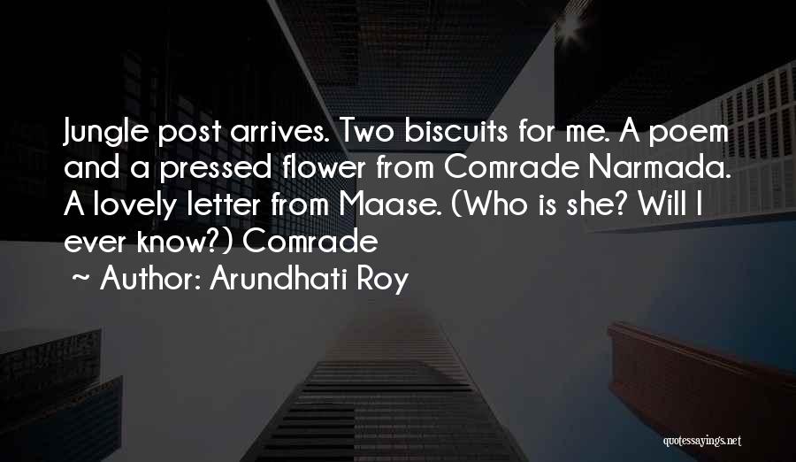 Arundhati Roy Quotes: Jungle Post Arrives. Two Biscuits For Me. A Poem And A Pressed Flower From Comrade Narmada. A Lovely Letter From