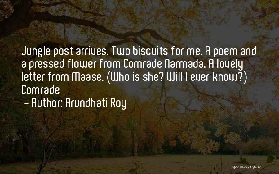 Arundhati Roy Quotes: Jungle Post Arrives. Two Biscuits For Me. A Poem And A Pressed Flower From Comrade Narmada. A Lovely Letter From