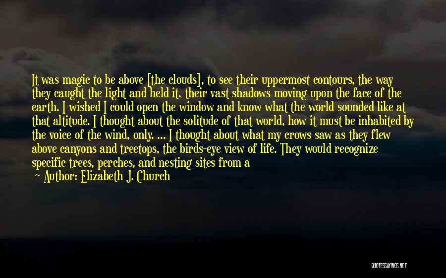 Elizabeth J. Church Quotes: It Was Magic To Be Above [the Clouds], To See Their Uppermost Contours, The Way They Caught The Light And