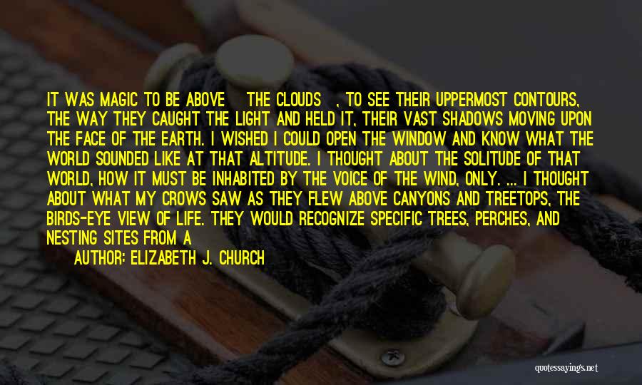 Elizabeth J. Church Quotes: It Was Magic To Be Above [the Clouds], To See Their Uppermost Contours, The Way They Caught The Light And