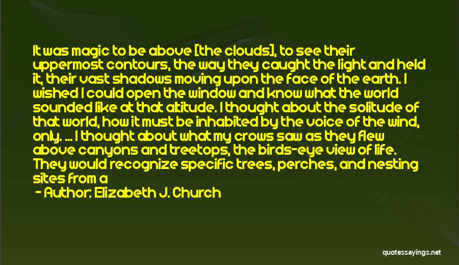 Elizabeth J. Church Quotes: It Was Magic To Be Above [the Clouds], To See Their Uppermost Contours, The Way They Caught The Light And