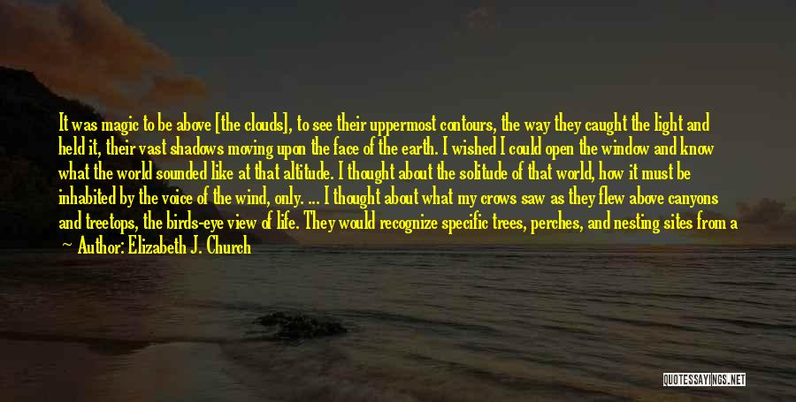 Elizabeth J. Church Quotes: It Was Magic To Be Above [the Clouds], To See Their Uppermost Contours, The Way They Caught The Light And