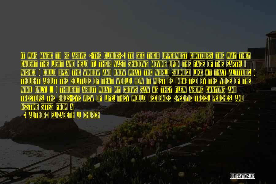 Elizabeth J. Church Quotes: It Was Magic To Be Above [the Clouds], To See Their Uppermost Contours, The Way They Caught The Light And