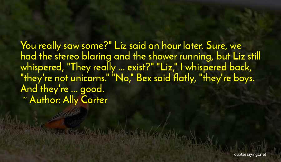 Ally Carter Quotes: You Really Saw Some? Liz Said An Hour Later. Sure, We Had The Stereo Blaring And The Shower Running, But