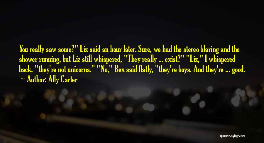 Ally Carter Quotes: You Really Saw Some? Liz Said An Hour Later. Sure, We Had The Stereo Blaring And The Shower Running, But