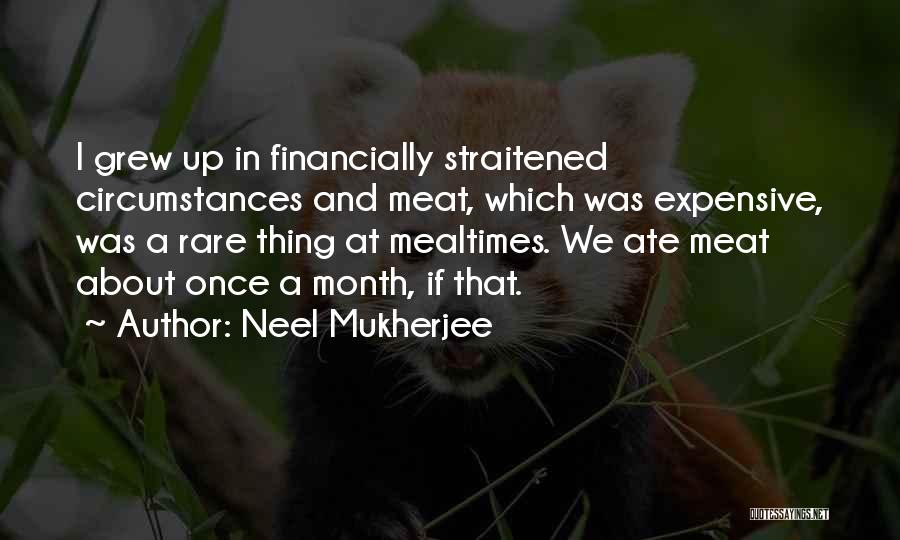 Neel Mukherjee Quotes: I Grew Up In Financially Straitened Circumstances And Meat, Which Was Expensive, Was A Rare Thing At Mealtimes. We Ate