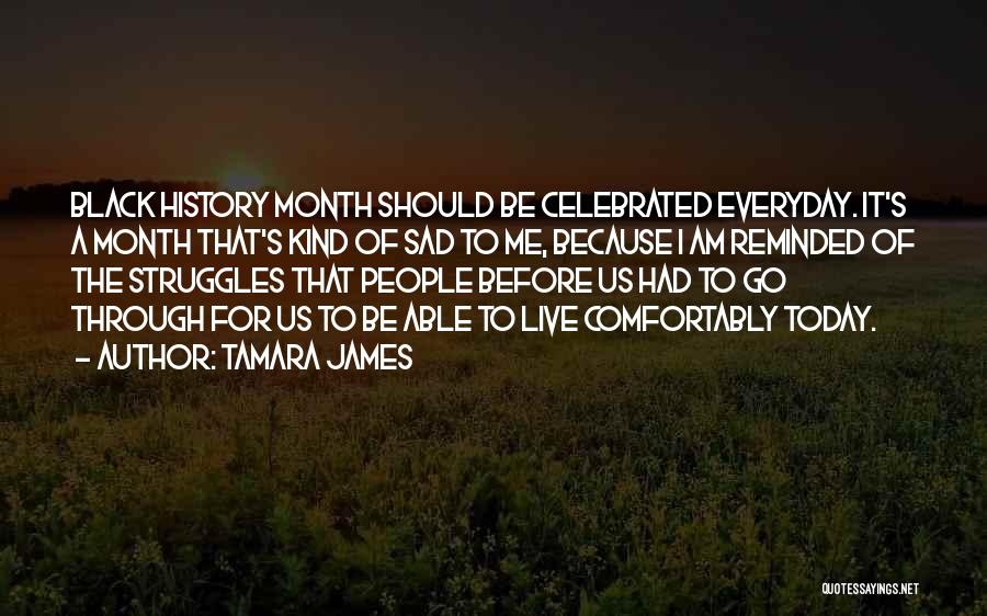 Tamara James Quotes: Black History Month Should Be Celebrated Everyday. It's A Month That's Kind Of Sad To Me, Because I Am Reminded