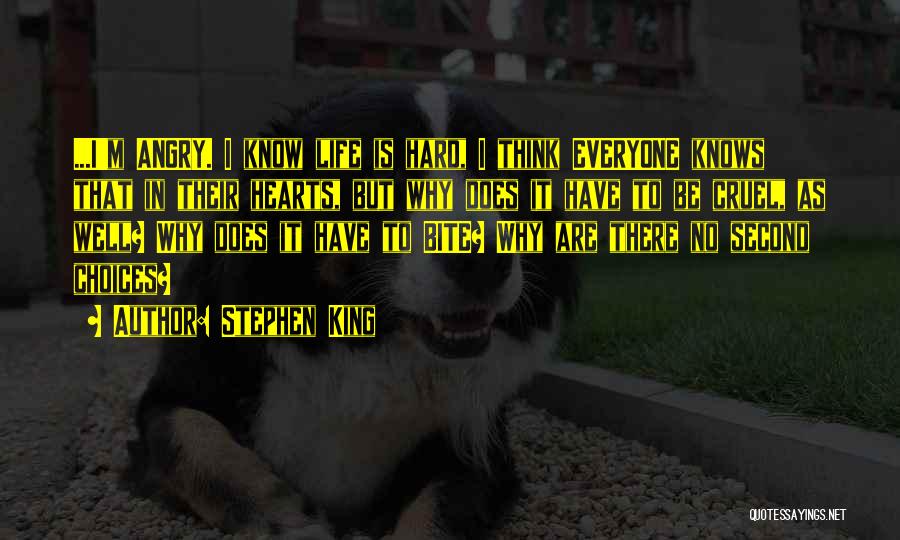 Stephen King Quotes: ...i'm Angry. I Know Life Is Hard, I Think Everyone Knows That In Their Hearts, But Why Does It Have