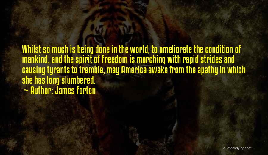James Forten Quotes: Whilst So Much Is Being Done In The World, To Ameliorate The Condition Of Mankind, And The Spirit Of Freedom