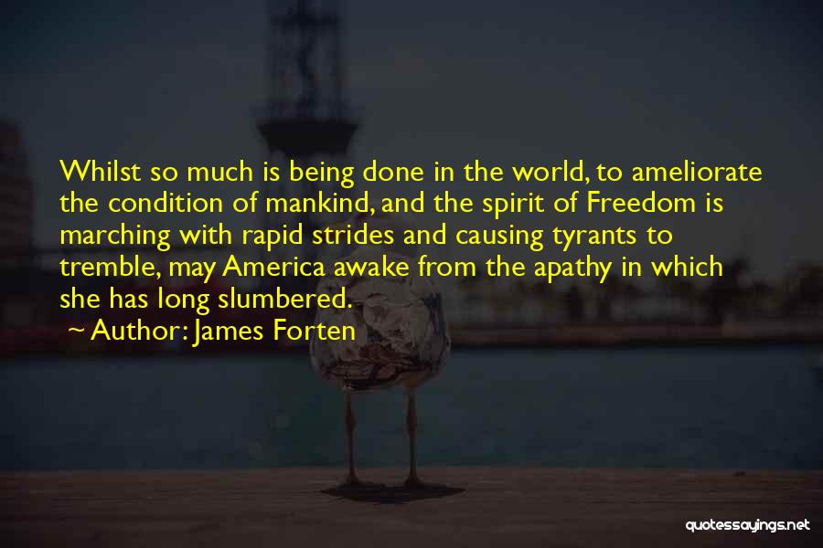 James Forten Quotes: Whilst So Much Is Being Done In The World, To Ameliorate The Condition Of Mankind, And The Spirit Of Freedom