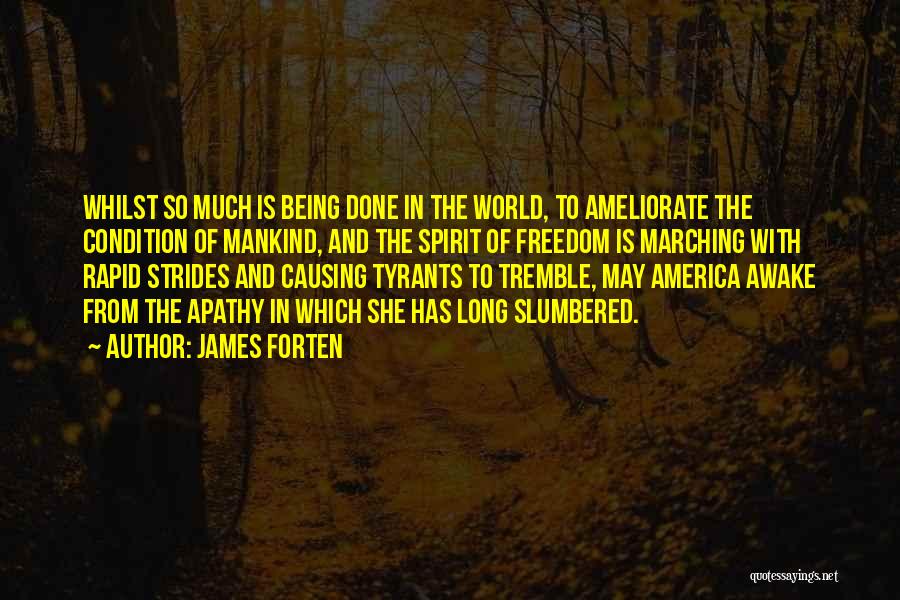 James Forten Quotes: Whilst So Much Is Being Done In The World, To Ameliorate The Condition Of Mankind, And The Spirit Of Freedom