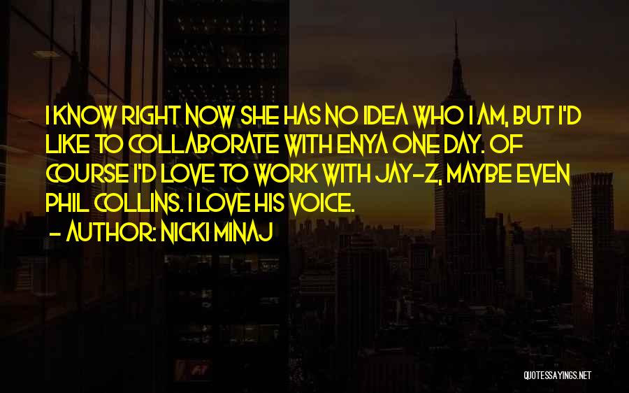 Nicki Minaj Quotes: I Know Right Now She Has No Idea Who I Am, But I'd Like To Collaborate With Enya One Day.