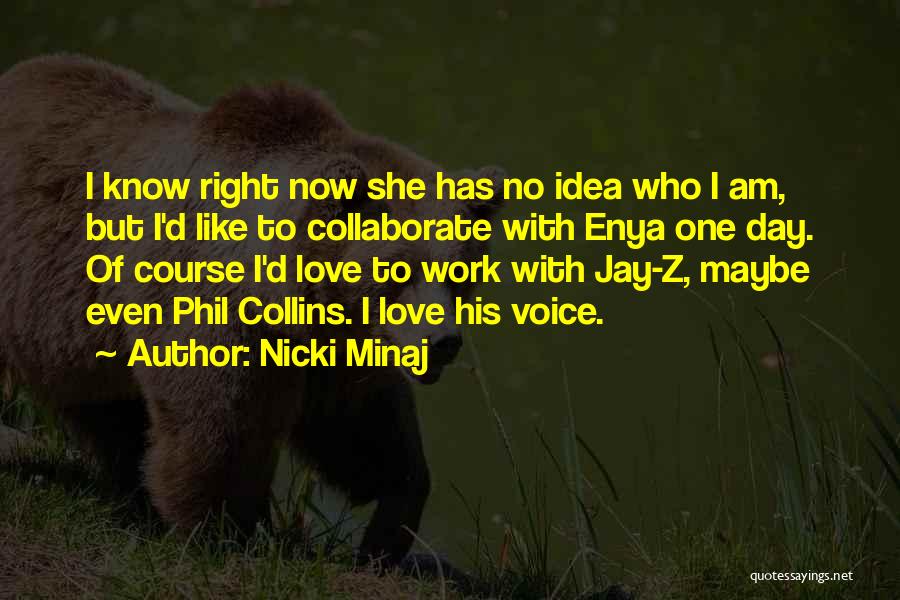 Nicki Minaj Quotes: I Know Right Now She Has No Idea Who I Am, But I'd Like To Collaborate With Enya One Day.