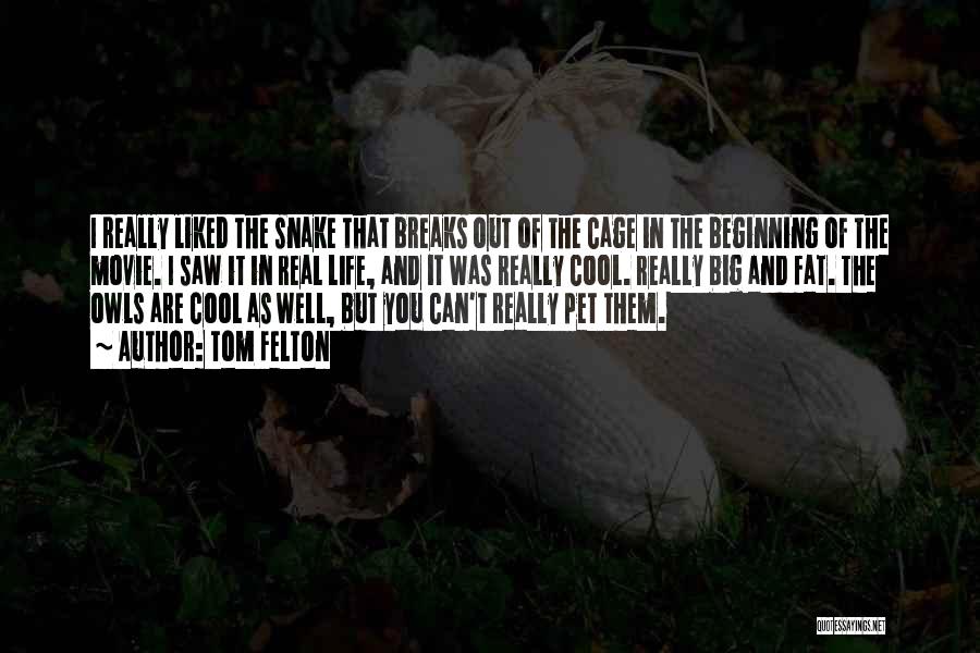 Tom Felton Quotes: I Really Liked The Snake That Breaks Out Of The Cage In The Beginning Of The Movie. I Saw It