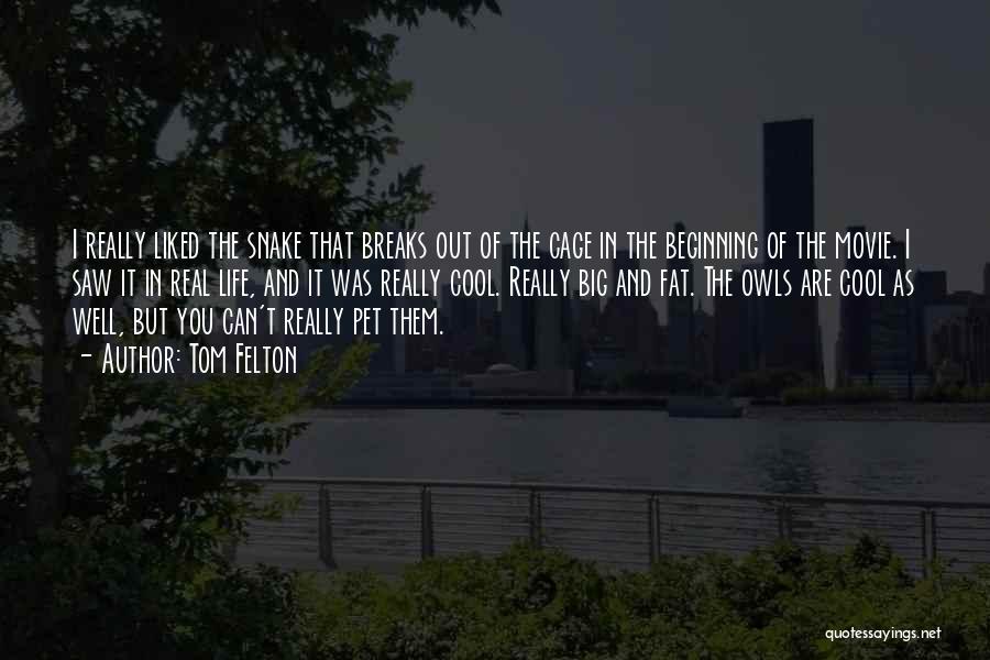 Tom Felton Quotes: I Really Liked The Snake That Breaks Out Of The Cage In The Beginning Of The Movie. I Saw It