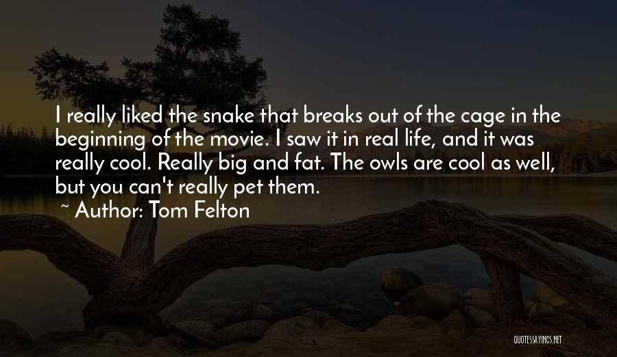 Tom Felton Quotes: I Really Liked The Snake That Breaks Out Of The Cage In The Beginning Of The Movie. I Saw It