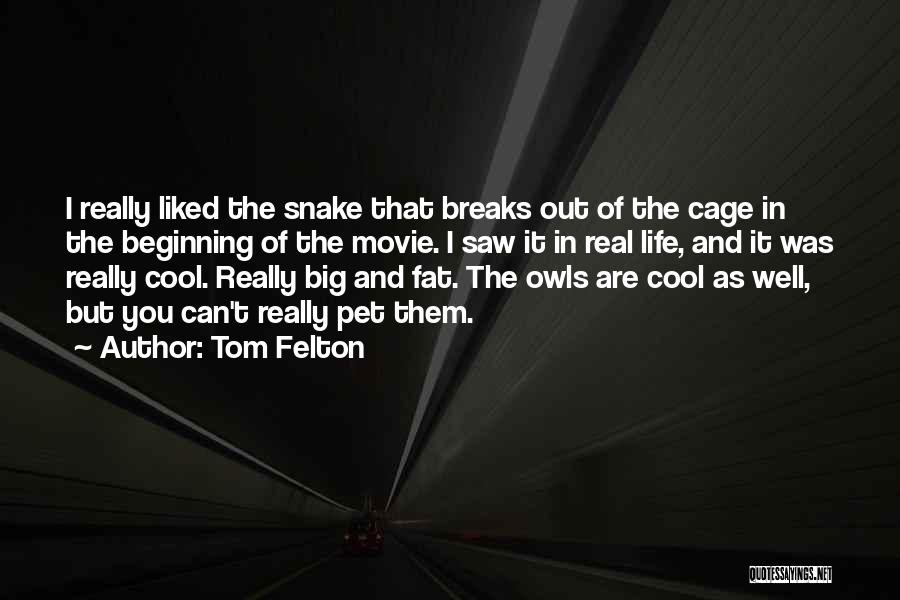 Tom Felton Quotes: I Really Liked The Snake That Breaks Out Of The Cage In The Beginning Of The Movie. I Saw It