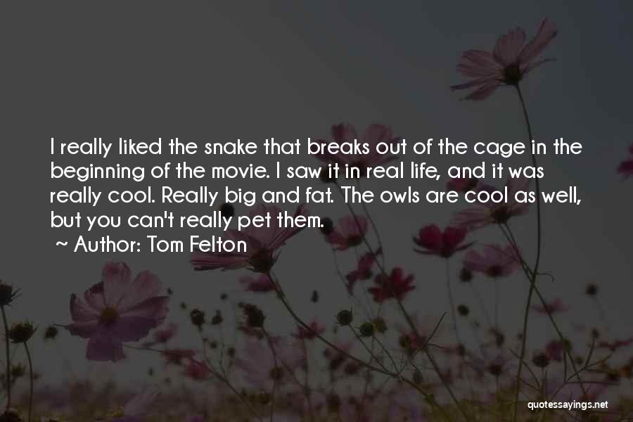 Tom Felton Quotes: I Really Liked The Snake That Breaks Out Of The Cage In The Beginning Of The Movie. I Saw It