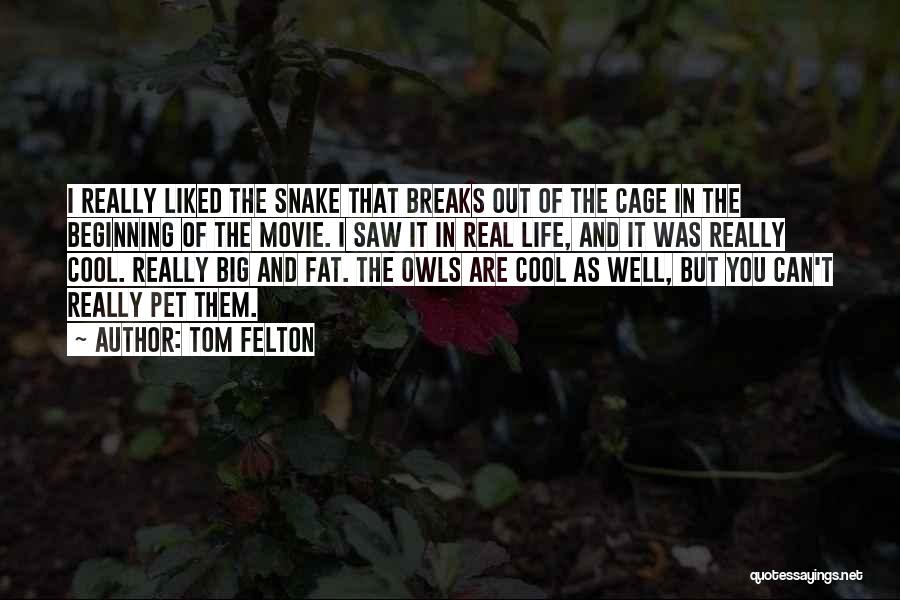 Tom Felton Quotes: I Really Liked The Snake That Breaks Out Of The Cage In The Beginning Of The Movie. I Saw It