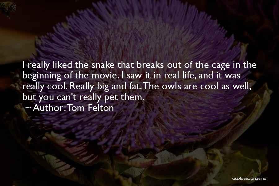 Tom Felton Quotes: I Really Liked The Snake That Breaks Out Of The Cage In The Beginning Of The Movie. I Saw It