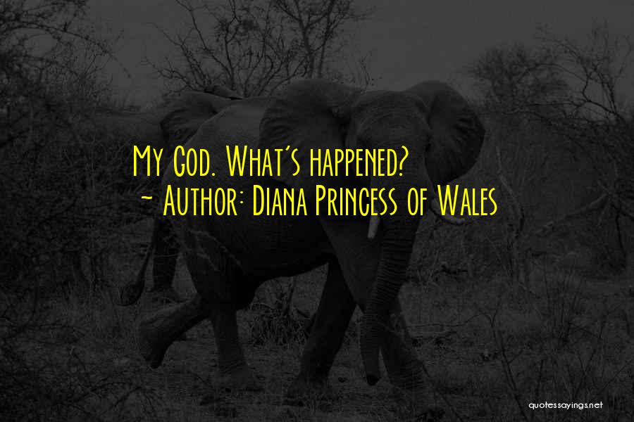 Diana Princess Of Wales Quotes: My God. What's Happened?