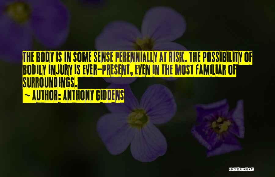 Anthony Giddens Quotes: The Body Is In Some Sense Perennially At Risk. The Possibility Of Bodily Injury Is Ever-present, Even In The Most