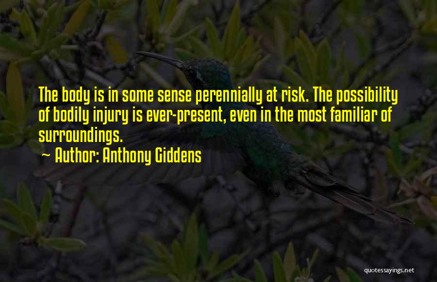 Anthony Giddens Quotes: The Body Is In Some Sense Perennially At Risk. The Possibility Of Bodily Injury Is Ever-present, Even In The Most