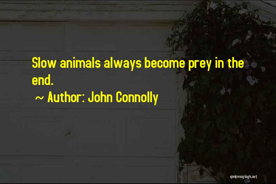 John Connolly Quotes: Slow Animals Always Become Prey In The End.