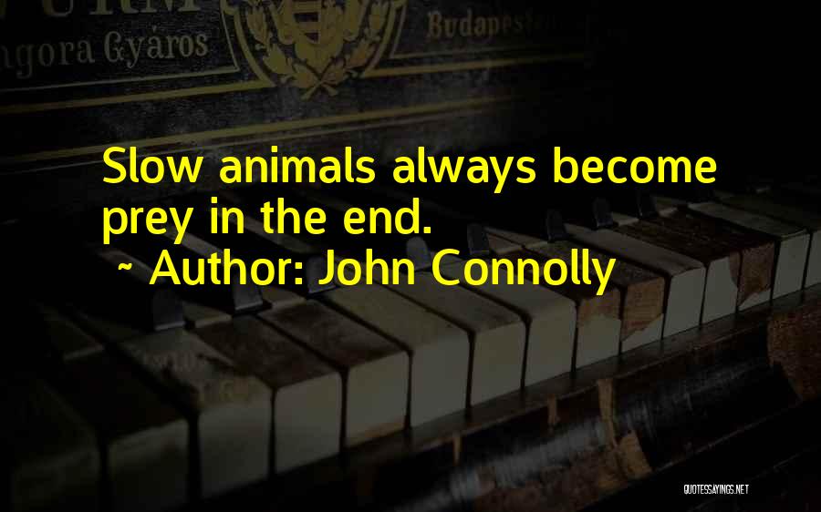 John Connolly Quotes: Slow Animals Always Become Prey In The End.