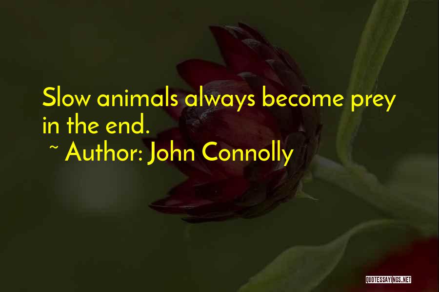 John Connolly Quotes: Slow Animals Always Become Prey In The End.