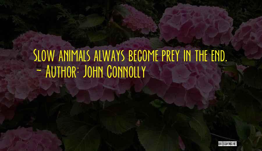 John Connolly Quotes: Slow Animals Always Become Prey In The End.