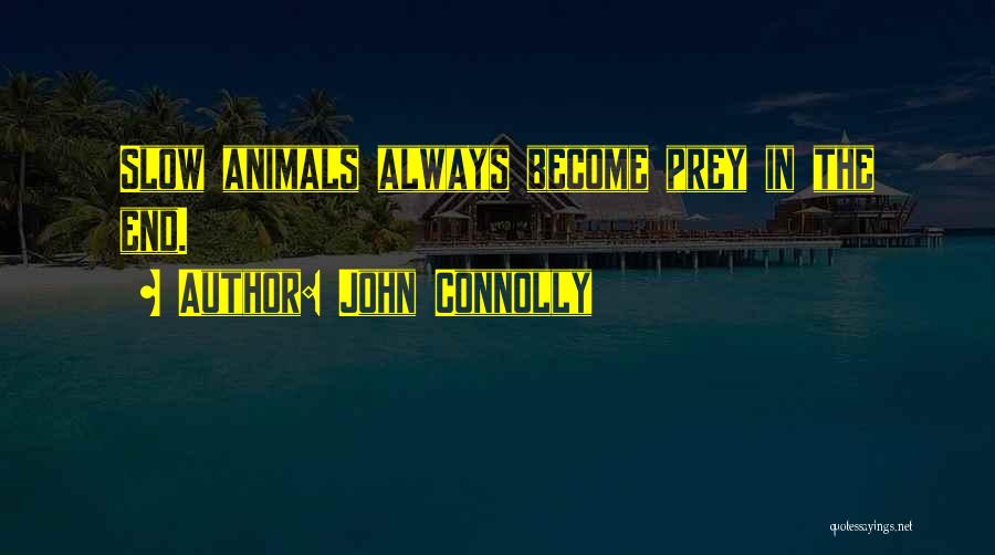 John Connolly Quotes: Slow Animals Always Become Prey In The End.