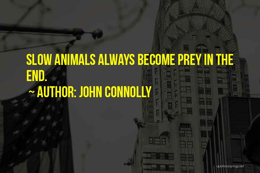 John Connolly Quotes: Slow Animals Always Become Prey In The End.