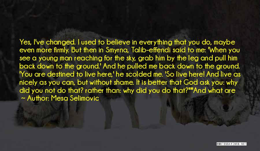 Mesa Selimovic Quotes: Yes, I've Changed. I Used To Believe In Everything That You Do, Maybe Even More Firmly. But Then In Smyrna,