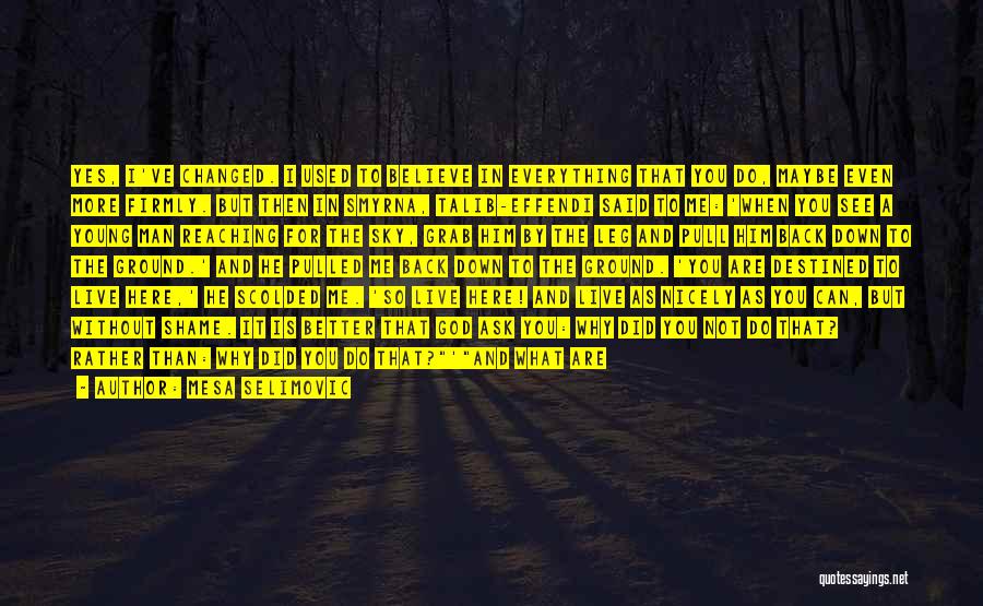 Mesa Selimovic Quotes: Yes, I've Changed. I Used To Believe In Everything That You Do, Maybe Even More Firmly. But Then In Smyrna,