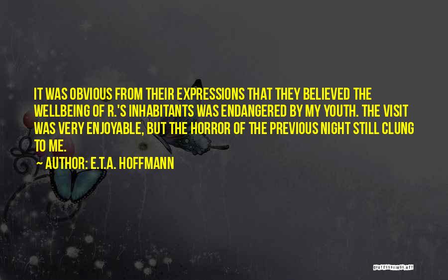 E.T.A. Hoffmann Quotes: It Was Obvious From Their Expressions That They Believed The Wellbeing Of R.'s Inhabitants Was Endangered By My Youth. The