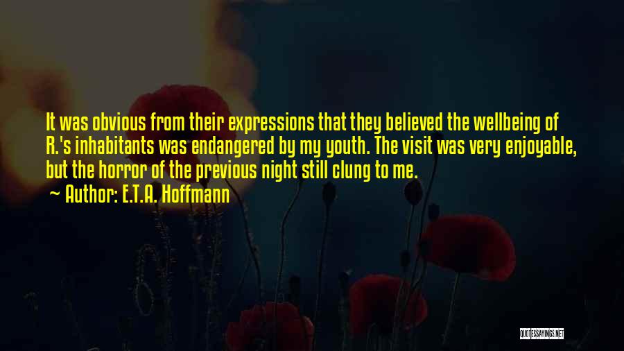 E.T.A. Hoffmann Quotes: It Was Obvious From Their Expressions That They Believed The Wellbeing Of R.'s Inhabitants Was Endangered By My Youth. The