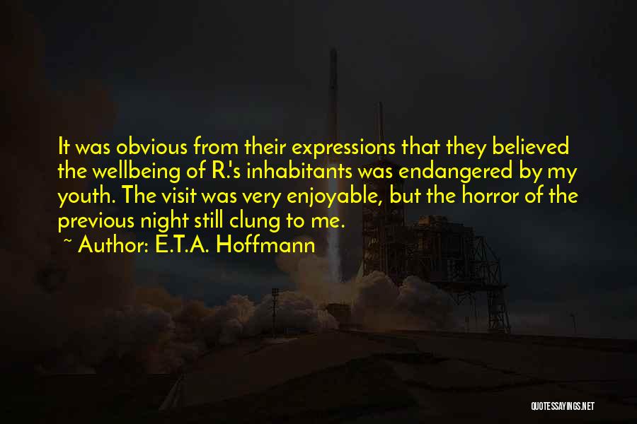 E.T.A. Hoffmann Quotes: It Was Obvious From Their Expressions That They Believed The Wellbeing Of R.'s Inhabitants Was Endangered By My Youth. The