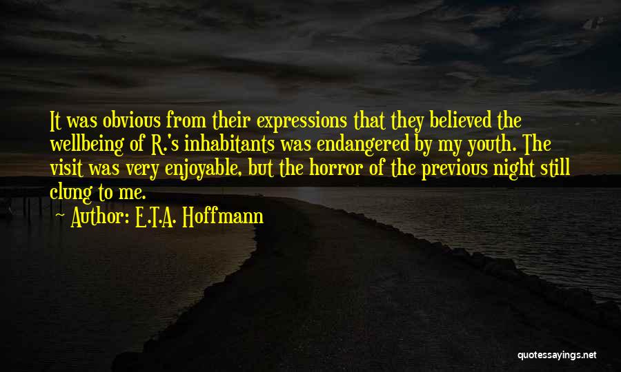 E.T.A. Hoffmann Quotes: It Was Obvious From Their Expressions That They Believed The Wellbeing Of R.'s Inhabitants Was Endangered By My Youth. The