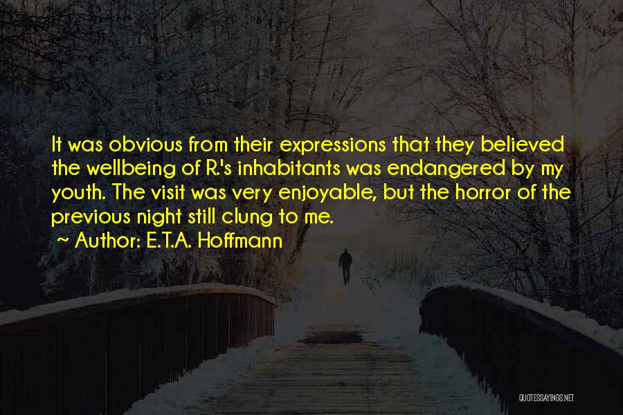 E.T.A. Hoffmann Quotes: It Was Obvious From Their Expressions That They Believed The Wellbeing Of R.'s Inhabitants Was Endangered By My Youth. The