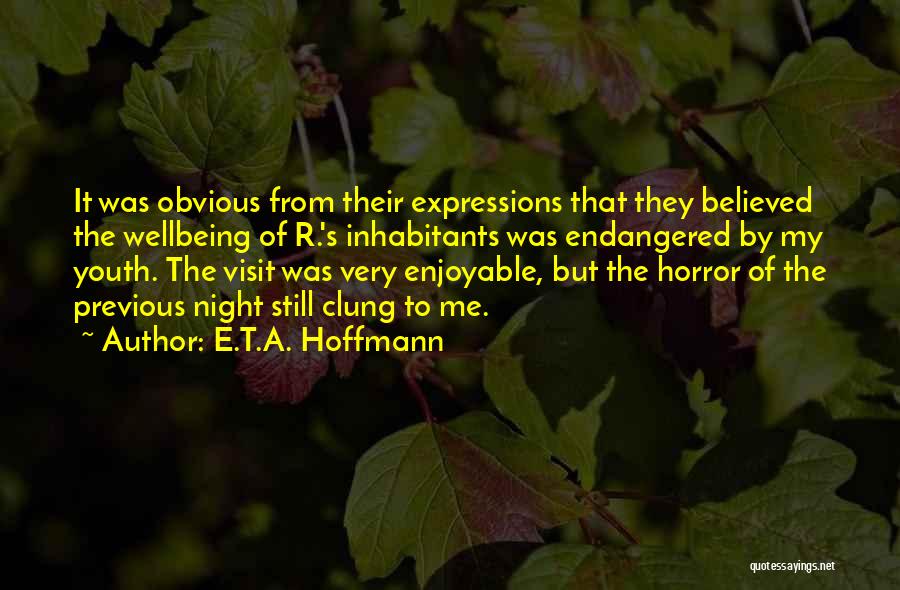 E.T.A. Hoffmann Quotes: It Was Obvious From Their Expressions That They Believed The Wellbeing Of R.'s Inhabitants Was Endangered By My Youth. The