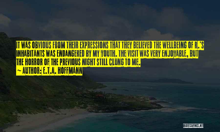 E.T.A. Hoffmann Quotes: It Was Obvious From Their Expressions That They Believed The Wellbeing Of R.'s Inhabitants Was Endangered By My Youth. The
