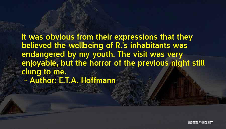 E.T.A. Hoffmann Quotes: It Was Obvious From Their Expressions That They Believed The Wellbeing Of R.'s Inhabitants Was Endangered By My Youth. The