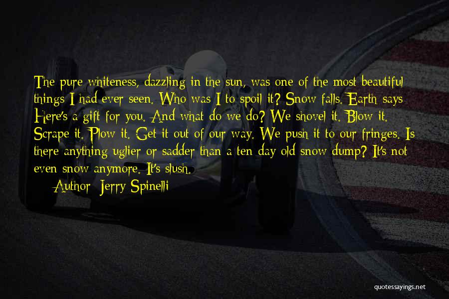 Jerry Spinelli Quotes: The Pure Whiteness, Dazzling In The Sun, Was One Of The Most Beautiful Things I Had Ever Seen. Who Was