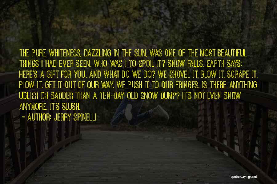 Jerry Spinelli Quotes: The Pure Whiteness, Dazzling In The Sun, Was One Of The Most Beautiful Things I Had Ever Seen. Who Was