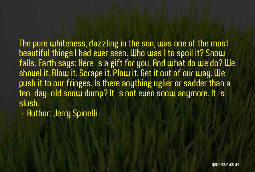 Jerry Spinelli Quotes: The Pure Whiteness, Dazzling In The Sun, Was One Of The Most Beautiful Things I Had Ever Seen. Who Was